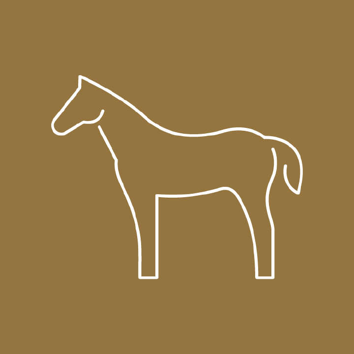 koerperkondition icon 360x360